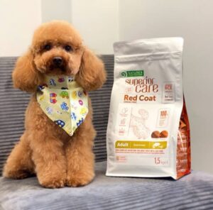 suha hrana za pse charly 1