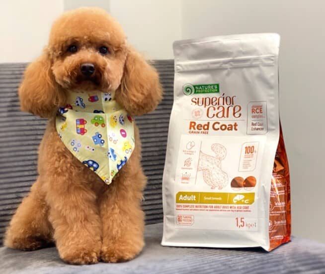 suha hrana za pse charly 1