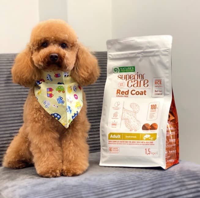 Kakovostne sestavine za zdravje vašega štirinožca